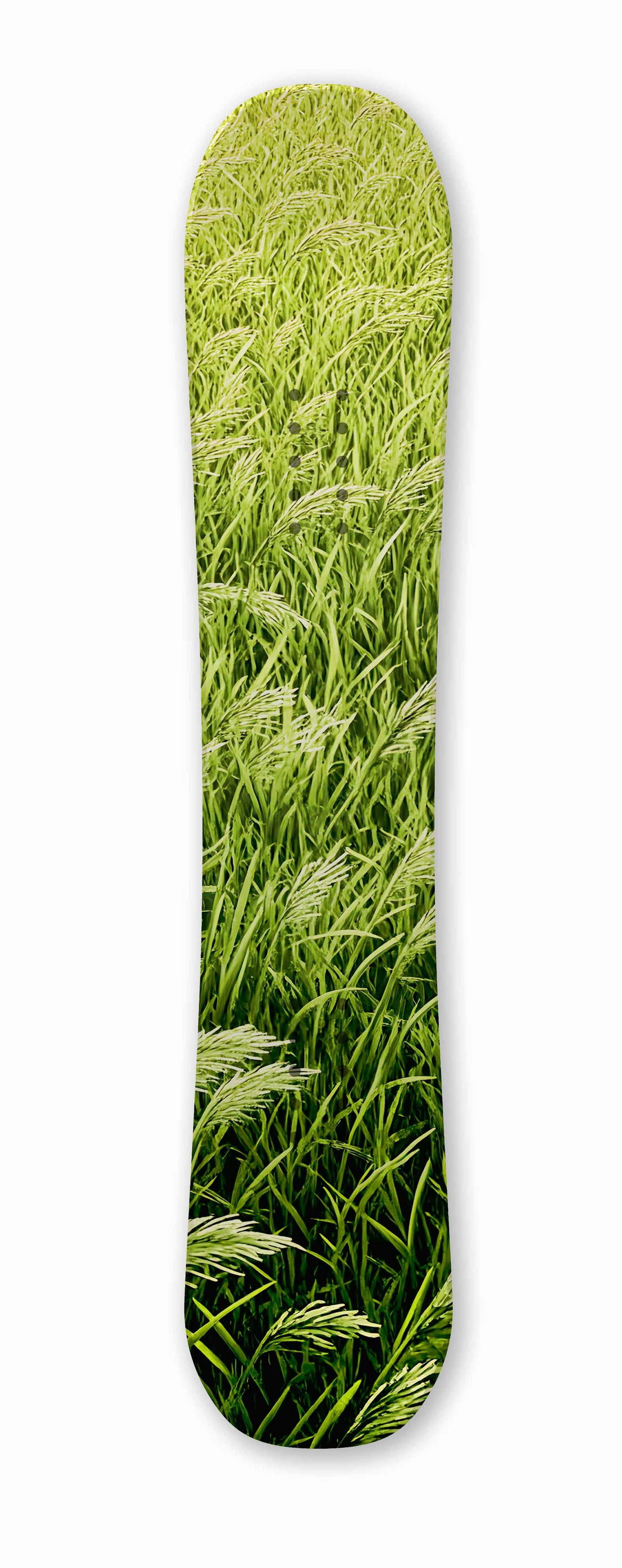 Tall Grass